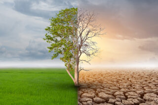 Die Fakten zum Klimawandel