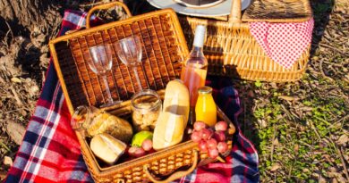 Ein Picknick richtig planen