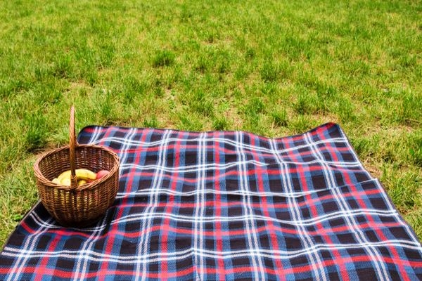 Picknick Decke auswählen