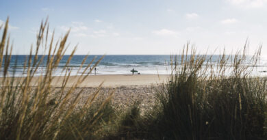 Favorisierte Übernachtungsmöglichkeiten an der Ostsee