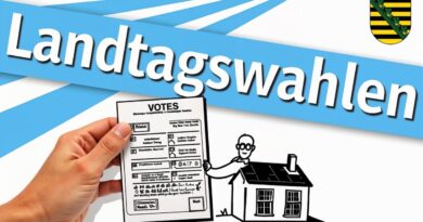 Piratenpartei Sachsen: Ziele und Wahlprogramm 2024