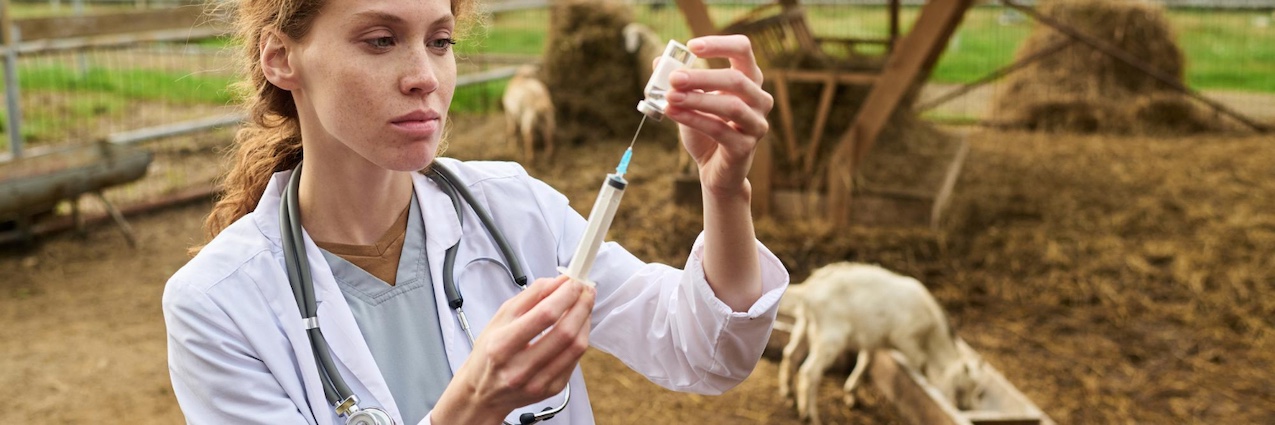 Impfung für die Tiere