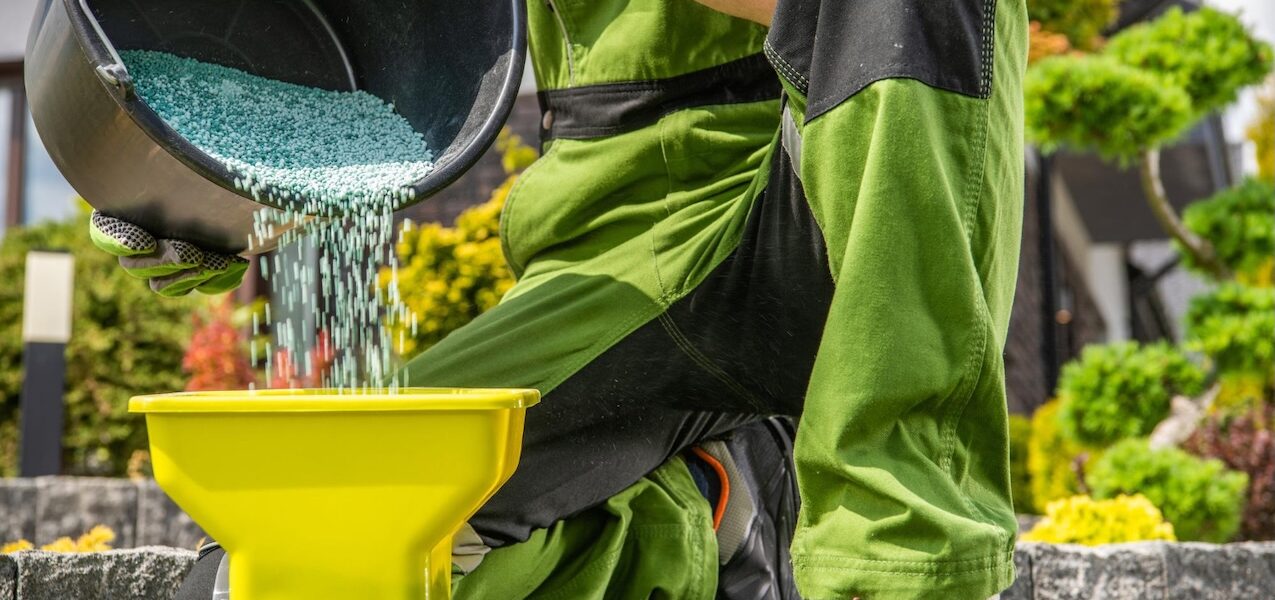 Rasen Düngen im Frühling: So wächst das Grün kräftig und dicht