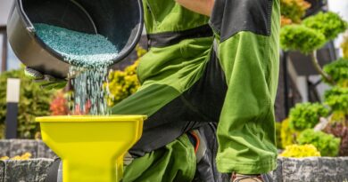 Rasen Düngen im Frühling: So wächst das Grün kräftig und dicht