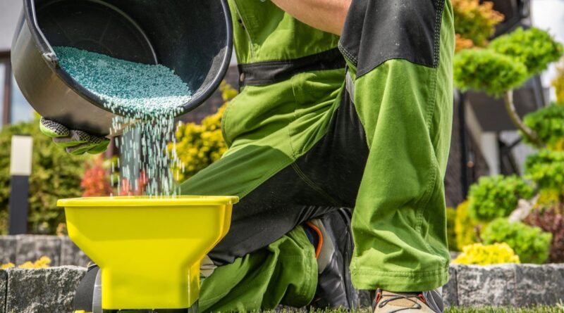 Rasen Düngen im Frühling: So wächst das Grün kräftig und dicht