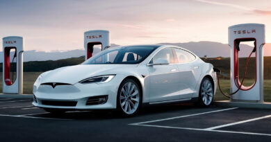 Tesla in Grünheide: Wie beeinflusst die Gigafactory die Region?