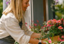 Gärtnern auf dem Balkon: Die besten Tipps für Stadtbewohner