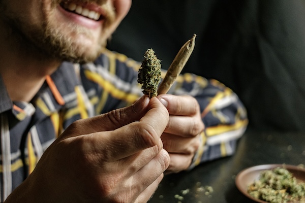 THC Wirkstoff und die Wirkung