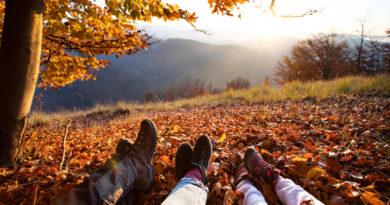 Warum der Herbst die beste Reisezeit ist: Tipps für den perfekten Urlaub