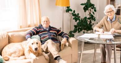 Seniorengerechtes Wohnen: Sicher und komfortabel leben im Alter