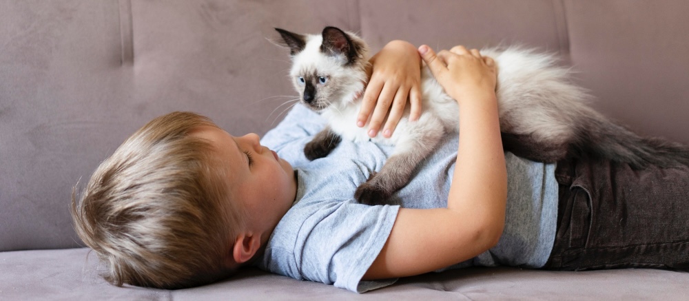 Katze mit einem Kind