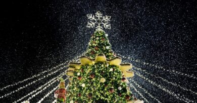 Europas originellste Winterfeste – von der spanischen Weihnachtslotterie El Gordo bis zum Madeira Weihnachtslichtfestival