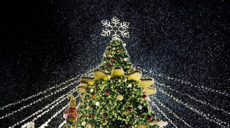 Europas originellste Winterfeste – von der spanischen Weihnachtslotterie El Gordo bis zum Madeira Weihnachtslichtfestival