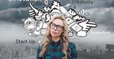 Innovative Geschäftsmodelle als Wachstumstreiber für Startups im deutschsprachigen Raum