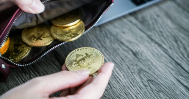 Wie Kryptowährungszahlungen 2025 die Geschwindigkeit digitaler Online-Dienste erhöhen