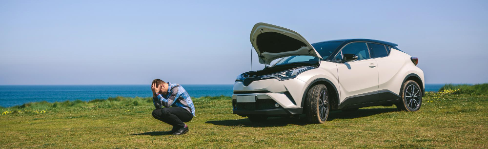 Die Kehrseite: Wenn Plug-in-Hybride zum teuren Ballast werden