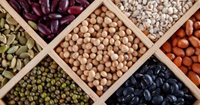 Hülsenfrüchte täglich essen: Warum Linsen und Bohnen so gesund sind